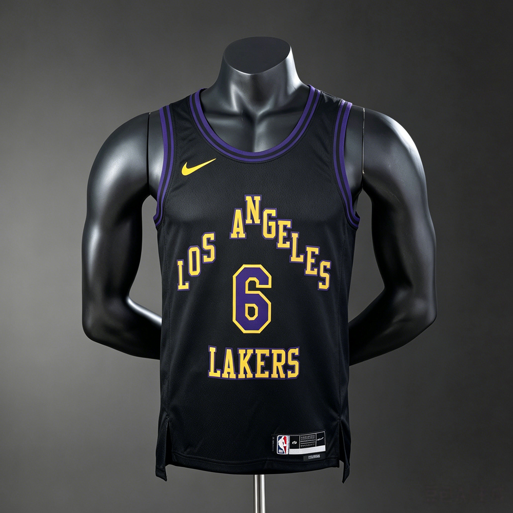 Los Angeles Lakers Classic Edition LeBron James #6 NBA Jersey Silk Version