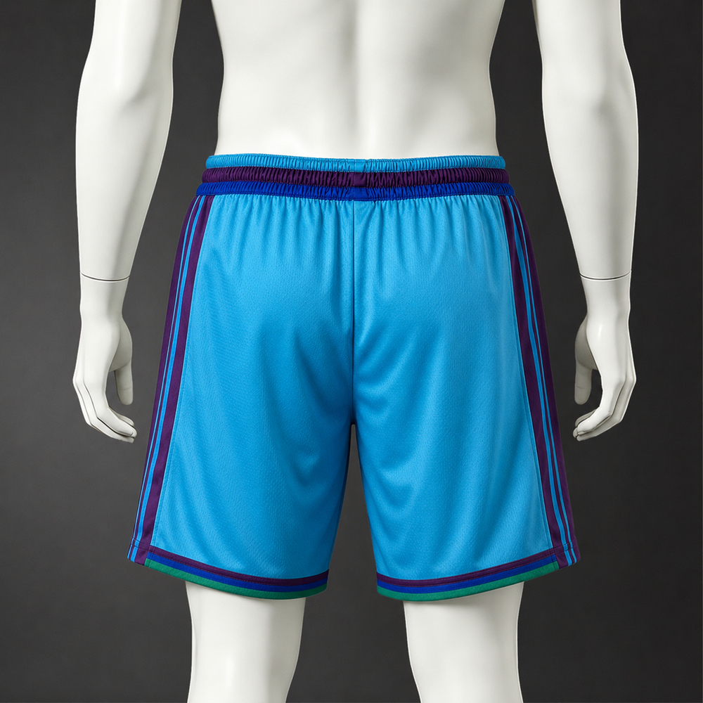 Charlotte Hornets Classic Edition Basketball NBA Shorts Silk Version Foto 2